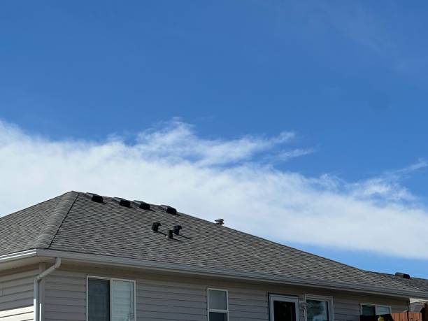 Professional Roofing Services in Olivehurst, CA